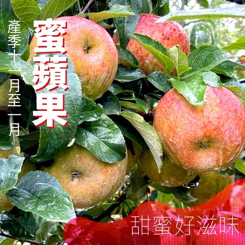 蜜蘋果